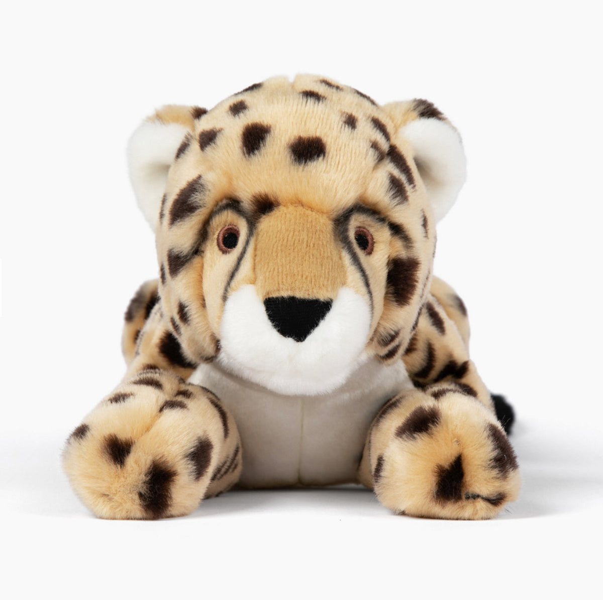 Kali Cheetah
