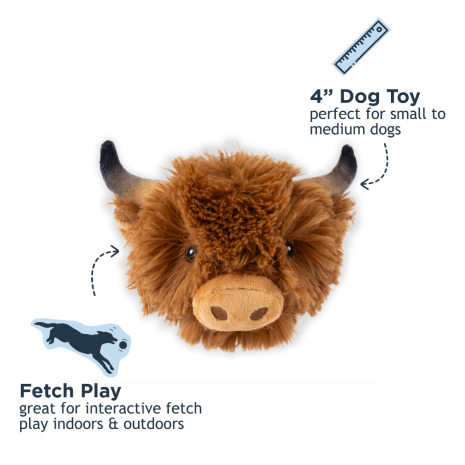 Cow Head