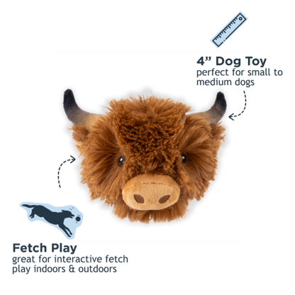 Cow Head