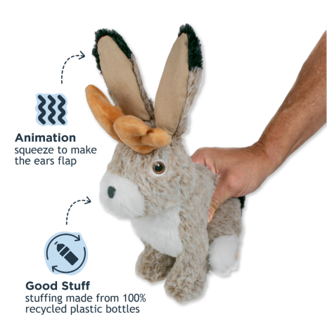 Jackelope