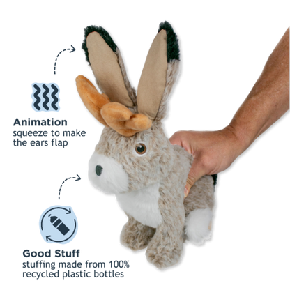 Jackelope