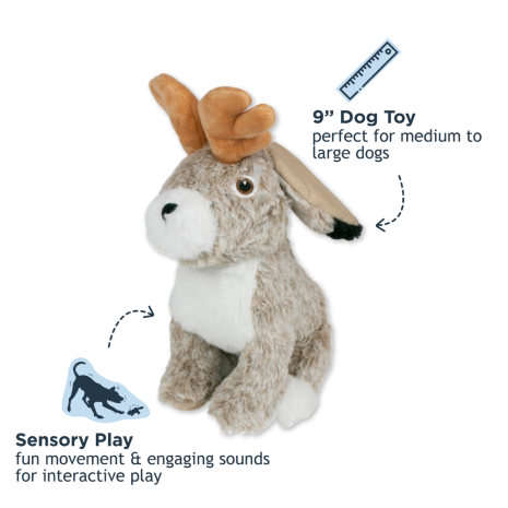 Jackelope