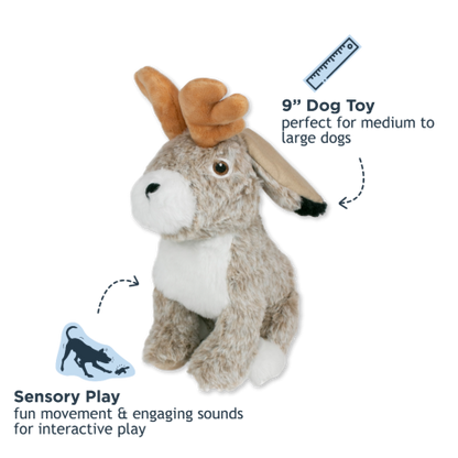 Jackelope
